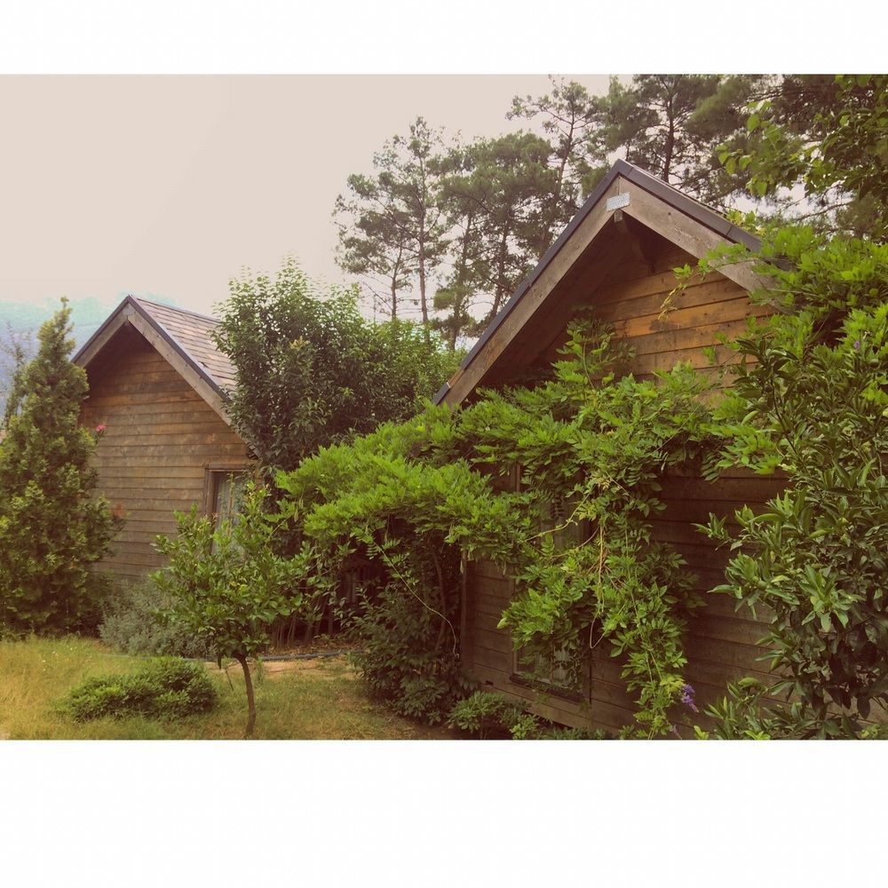 Olympos Village Relaxury Hotel Ngoại thất bức ảnh