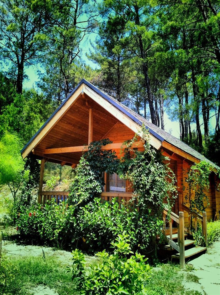 Olympos Village Relaxury Hotel Ngoại thất bức ảnh
